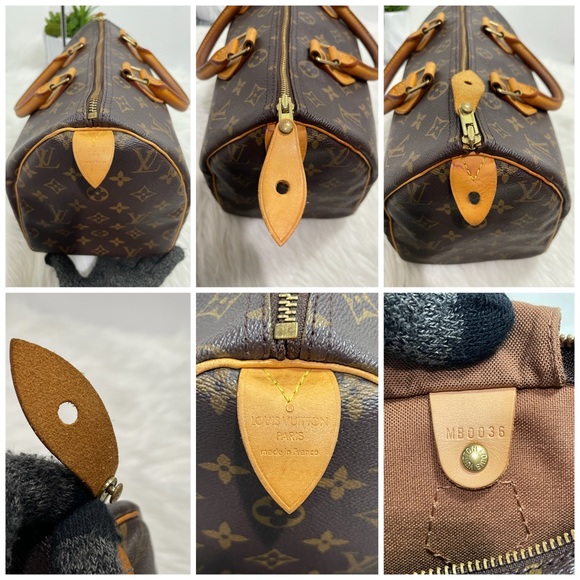 Speedy 30 - Picture 11 of 16